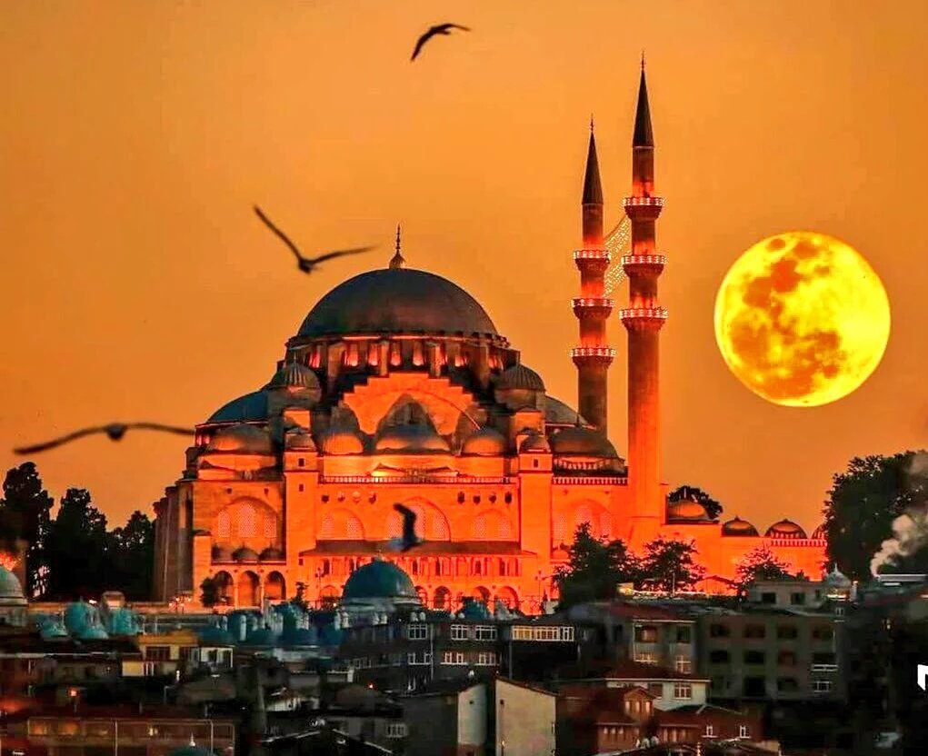 CryptoRaymoond's tweet photo. Ülkemizin ve İslam âleminin mübarek Kadir Gecesi mübarek olsun.

#KadirGecemiz https://t.co/0s8yBYedzX