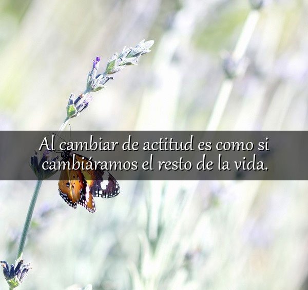 Vida y Bienestar (@vidabienestarsa) on Twitter photo 