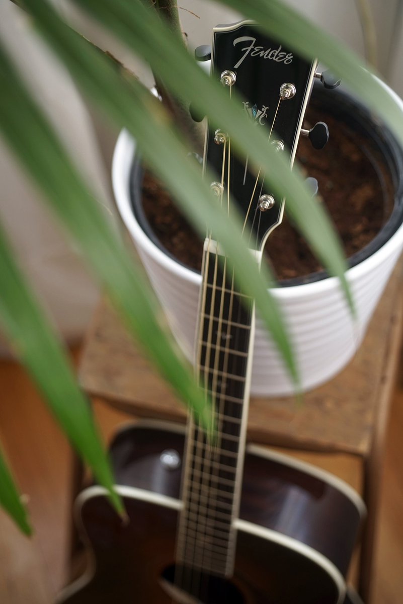 We partnered with <a href="/Fender/">Fender</a> &amp; <a href="/REVOLVEman/">REVOLVEman</a> to host a week-long Sounds of Summer giveaway! Enter raen.com/sos
