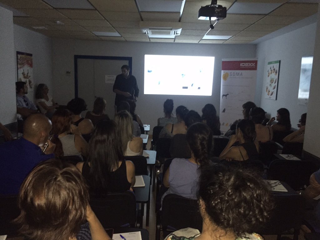 IDEXX_ES's tweet photo. Seminario IDEXX Terapia antiagiogénica : Dra Elena de Merlo Dr Ricardo Ruano - Hospital Veterinario Mediterráneo https://t.co/hriC93B2ZK