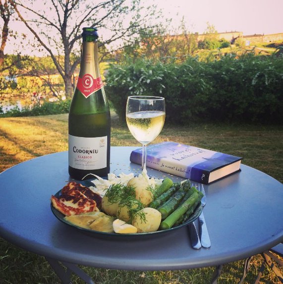 CodorniuUK's tweet photo. Who else's evening looks like #instagrammer eevis_'s? A good book, great #food, fab view &amp; delicious #Cava. https://t.co/YOAxk5nRDc