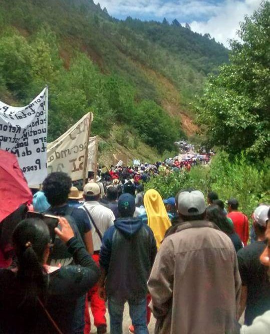 Ver imagen en Twitter