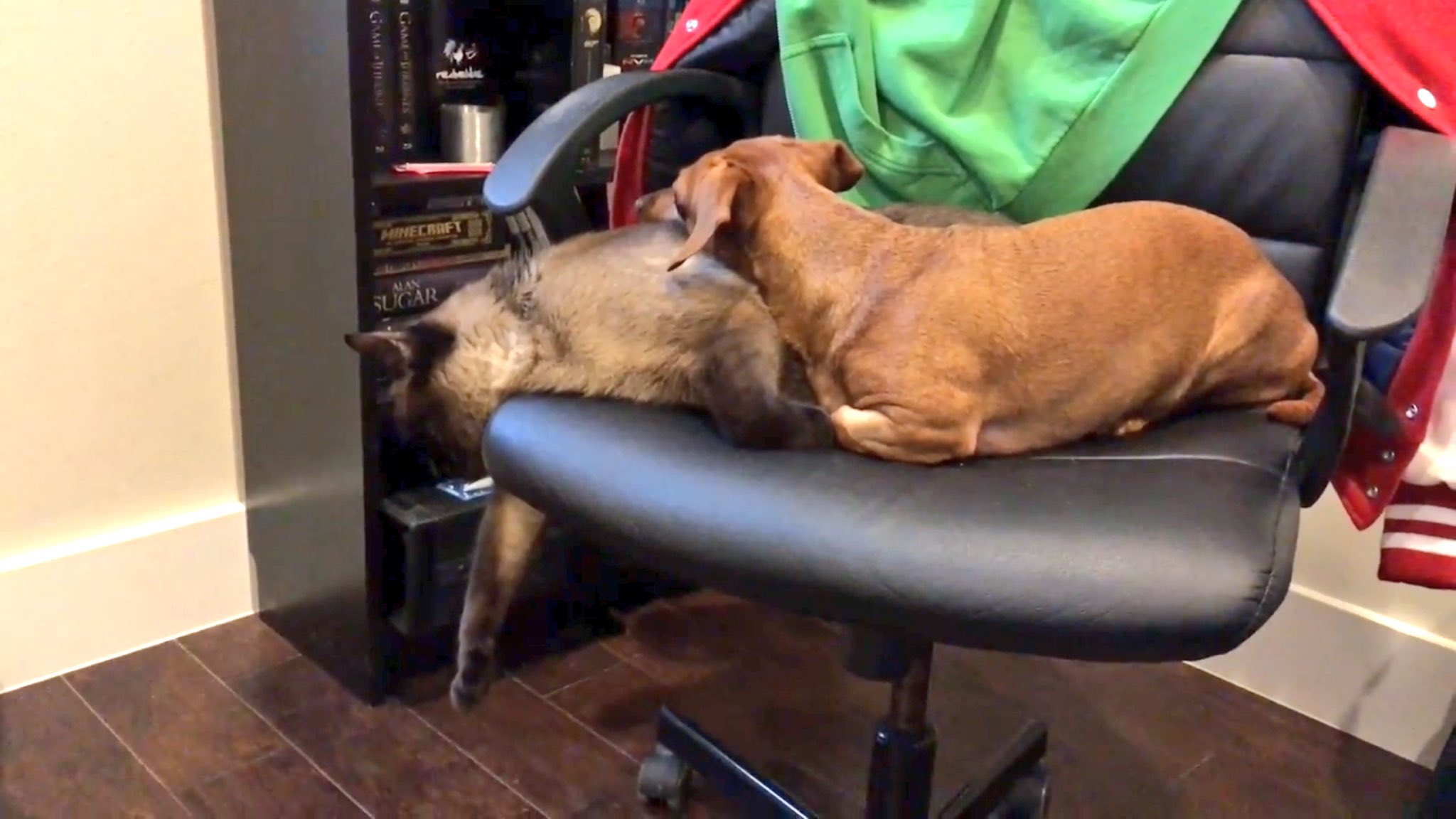 pimpandhost uploaded on 2016 PM a 2 2  / X