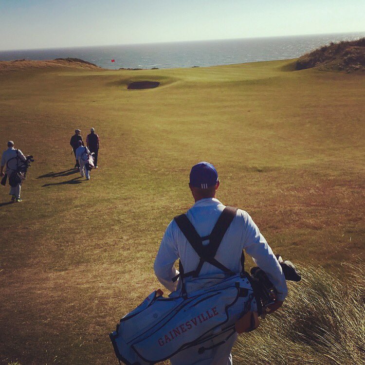 BrownKjbrownie's tweet photo. A great walk as Bandon showed her teeth yesterday. #windball https://t.co/ECP0OZqD7s