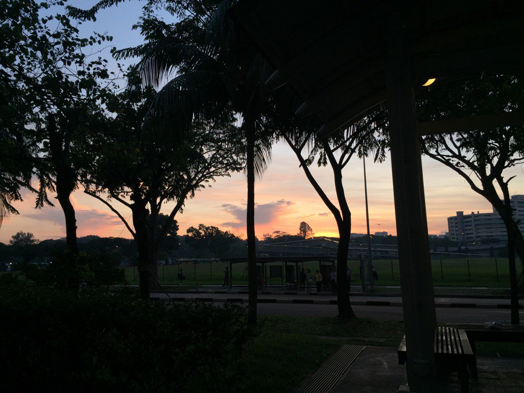 Rishi_K_Ghimire's tweet photo. My Favourite spot Toa Payoh #day3task #SCMS2016DQ #runnersworld #motivation #loveit #urban #singapore #evening https://t.co/9kD5be0bey