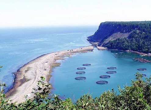 By land &amp; by sea: three resources for #sustainability in food production ow.ly/yG6G301PVb9 via @ucfoodobserver