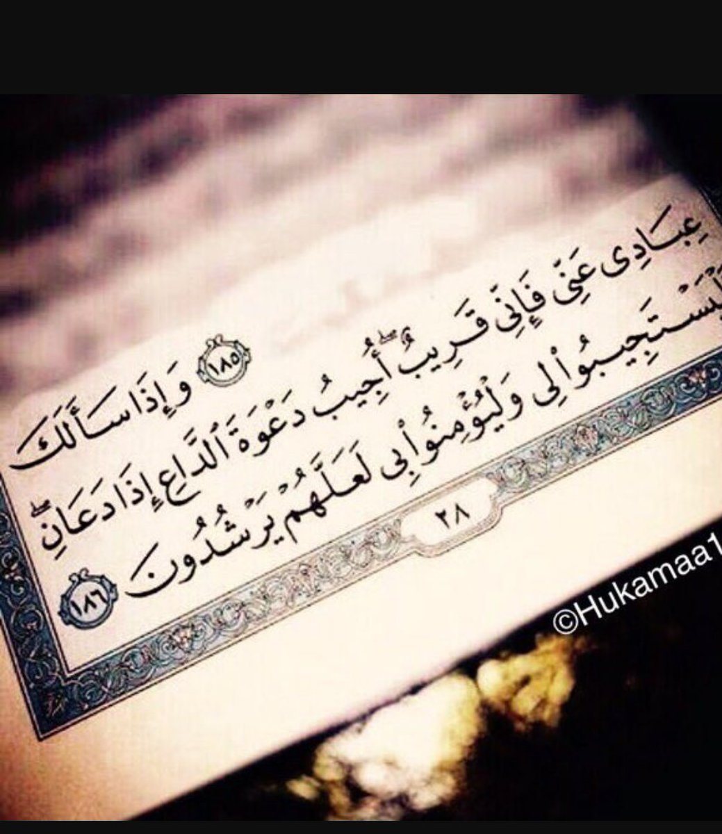 sammr3's tweet photo. .
بسم الله الرحمن الرحيم

وإذا سألك عبادي عني فإني قريب
اجيب دعوة الداع إذا دعان

.
ربي يشفى كل مريض
#ساعة_استجابة 🌷 https://t.co/XJmkkRLbeO