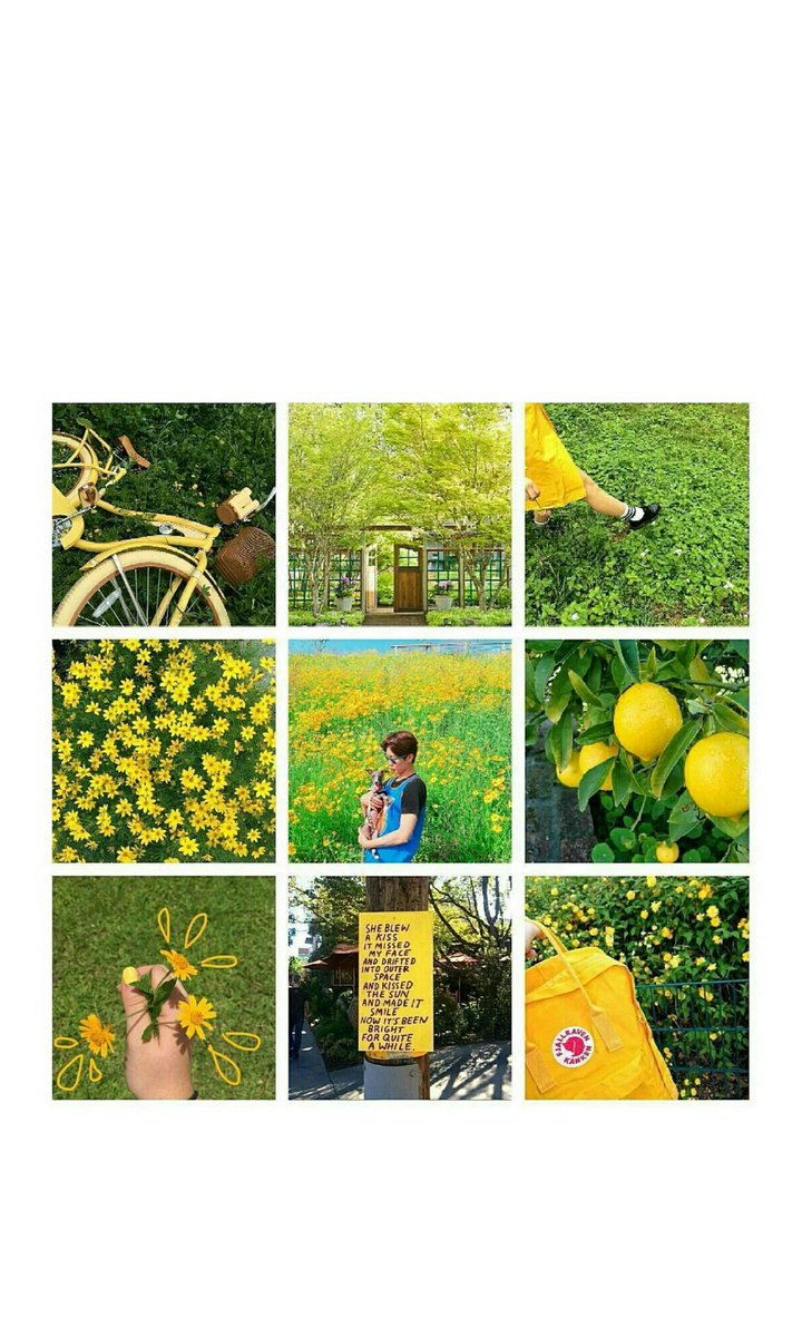 Ã
¤ On Twitter Winner Ìë Leeseunghoon Ì´ì¹í Yellow Green Aesthetic Wallpaper winner ìë leeseunghoon ì´ì¹í