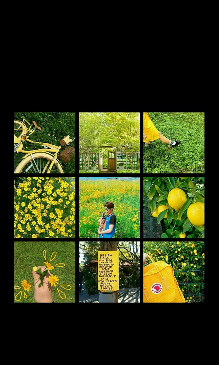 Ã
¤ On Twitter Winner Ìë Leeseunghoon Ì´ì¹í Yellow Green Aesthetic Wallpaper winner ìë leeseunghoon ì´ì¹í