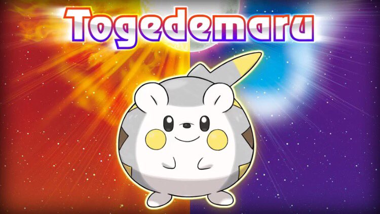 PKMNWorldwide's tweet photo. Meet Togedemaru in #PokemonSunMoon! Isn't it cute?! https://t.co/rBVsJdxoLY