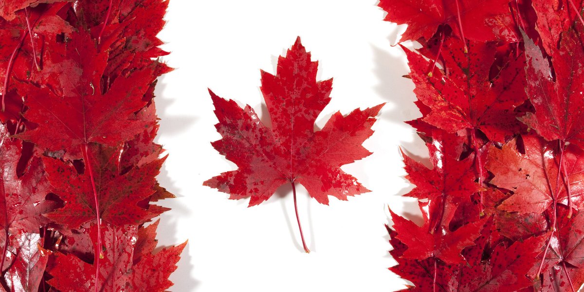phanminhanh01's tweet photo. #CanadaDay The country that I love ❤❤ https://t.co/ltJvogQLNW