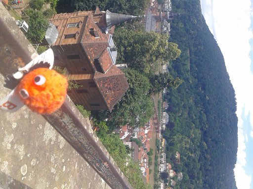 BJR_Radiology's tweet photo. #BJRTravelbug in Heidelberg for the recent #CARS2016 meeting... https://t.co/gdsS1zwDYR
