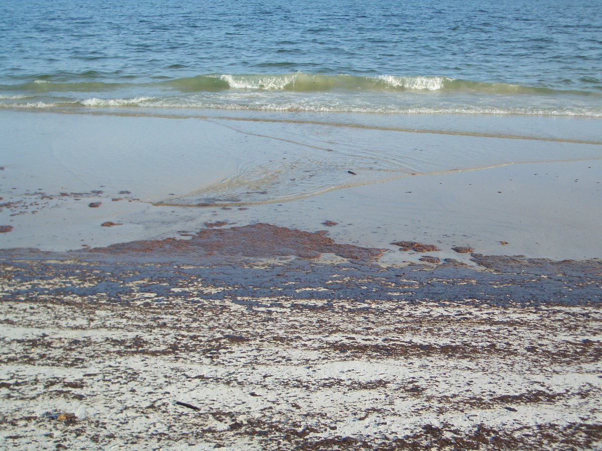 6 years later: Study estimates #BPOilSpill cost fishing industry at least $94.7 million. ow.ly/ZP83301QkLb
