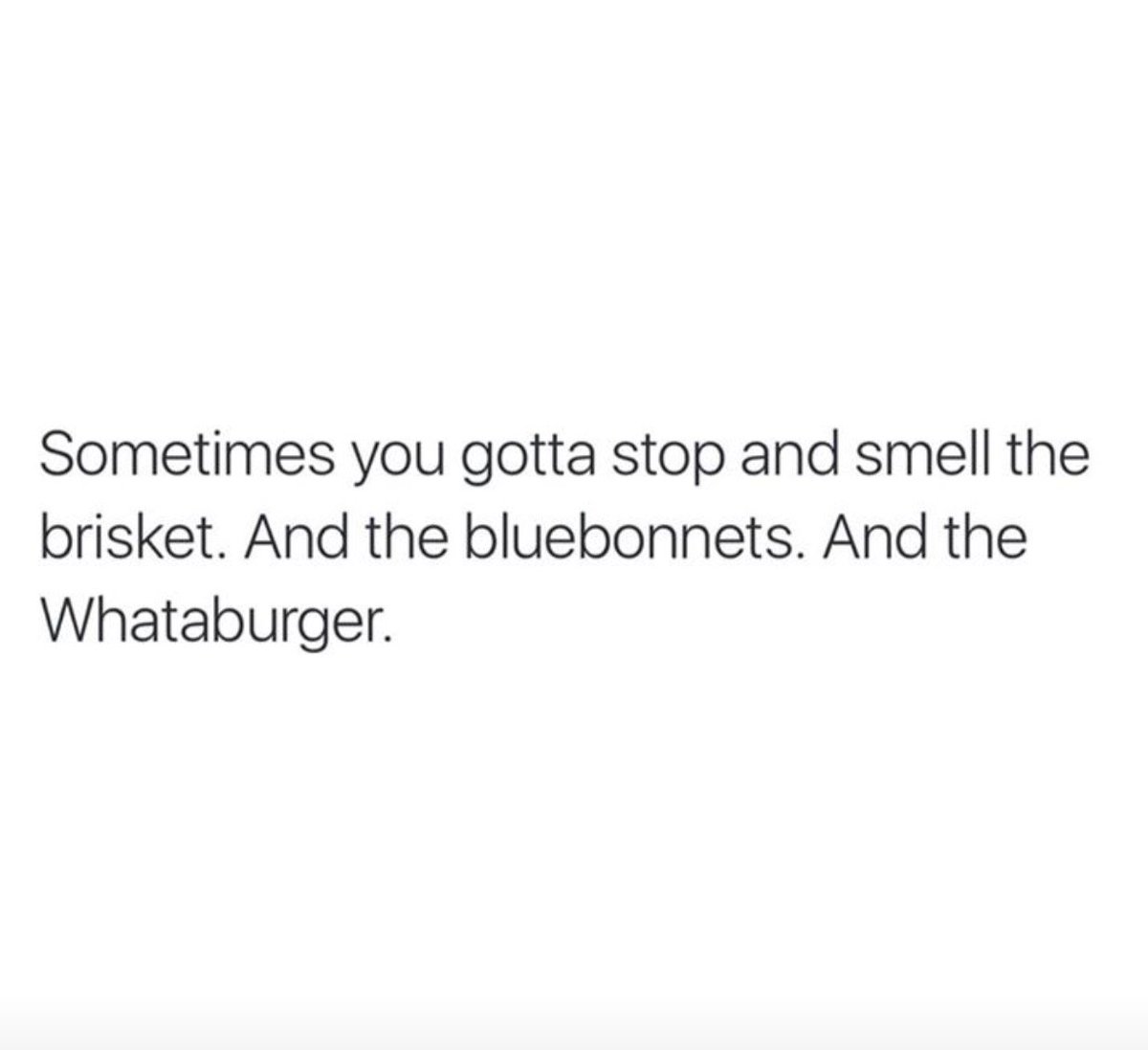 ⭐️🌵⭐️ #texasforever 📷 Texas Humor