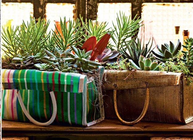decorget's tweet image. I loved the idea of a garden in a bag :-) !! ( Foto: Edu Castello/ Editora Abril)