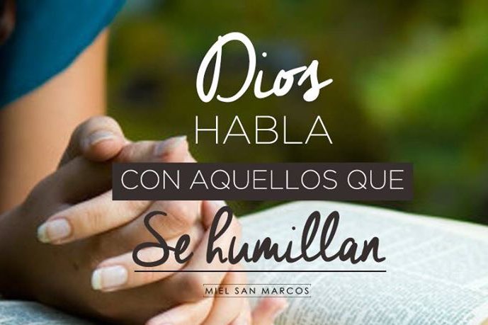 Mielsanmarcos's tweet photo. BUENOS DÍAS 🌤
Rindamos nuestras vidas ante Dios y mantengamos un corazón humilde delante de Su Presencia https://t.co/UBxqLauvsp
