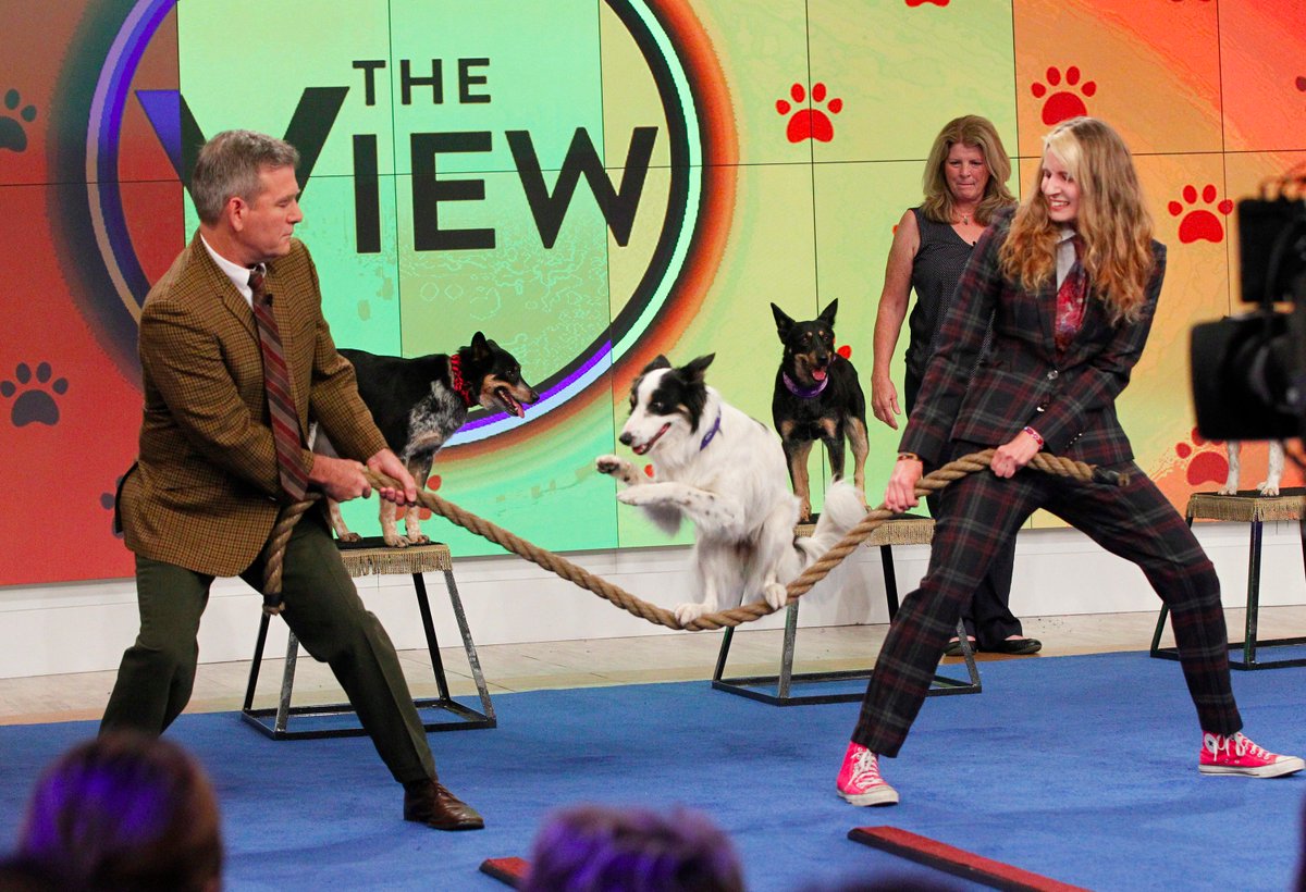The View tweet media