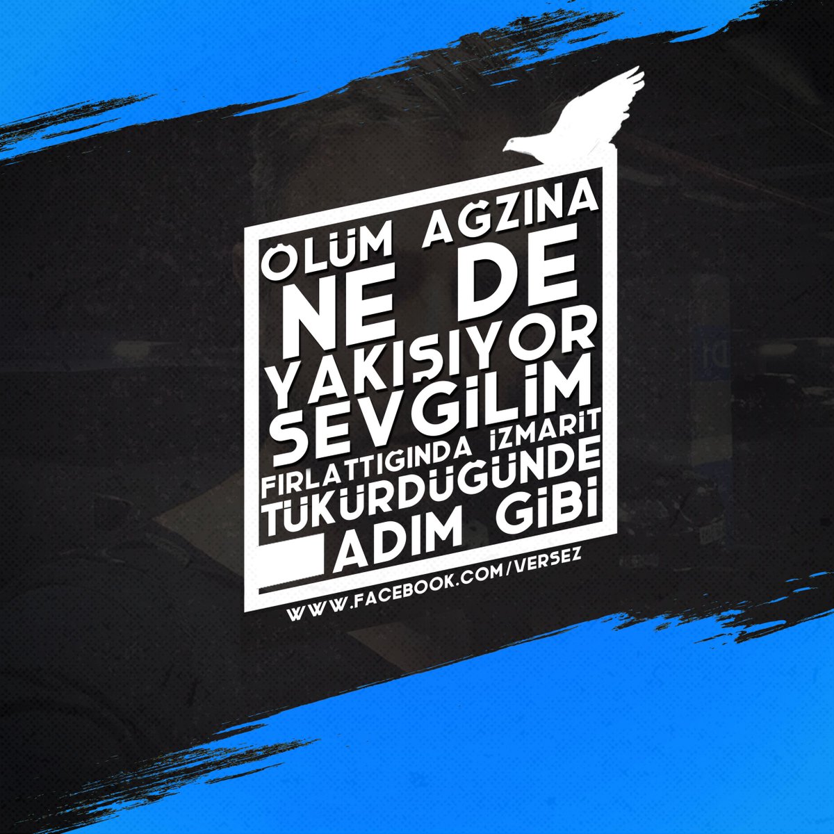 oversez's tweet photo. Ölüm ağzına ne de yakışıyor sevgilim.Fırlattığında izmarit,tükürdüğünde adım gibi
@TheKeysii #vertigo #orgasmverses https://t.co/lhol50yvGW