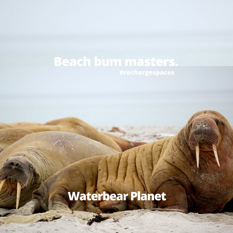 Enjoy a spectacular July 4th weekend! #beachbum #July4th #rechargespaces