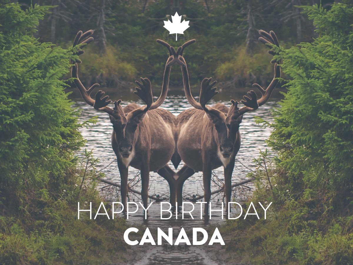 designshopp's tweet photo. Looking good Canada 🇨🇦  Happy #CanadaDay to all! https://t.co/yffKfrlS8C