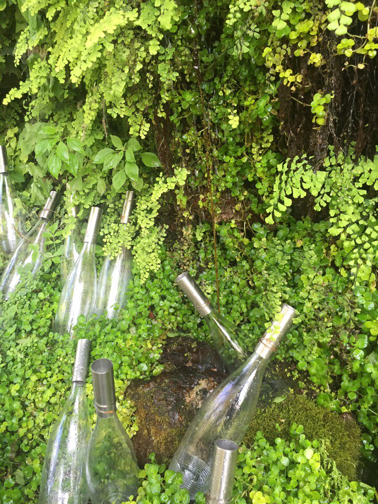 Tot a punt, avui presentem el llibre "Noc, on la remor repensa"
<a href="/pavellons/">Les Cols Pavellons</a>#natura#garrotxa#raconsunics