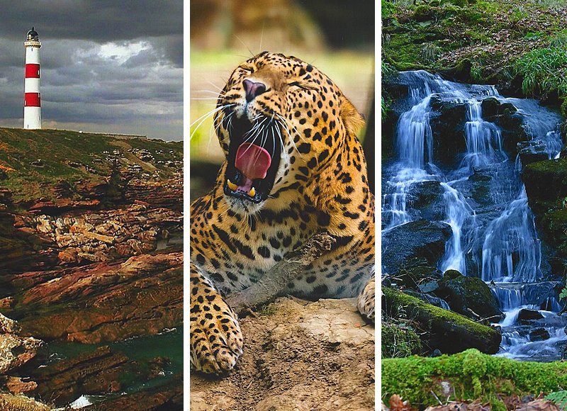 Check out the stunning winners from this year's Rotary #YoungPhotographer competition! rotarygbi.org/young-photogra…