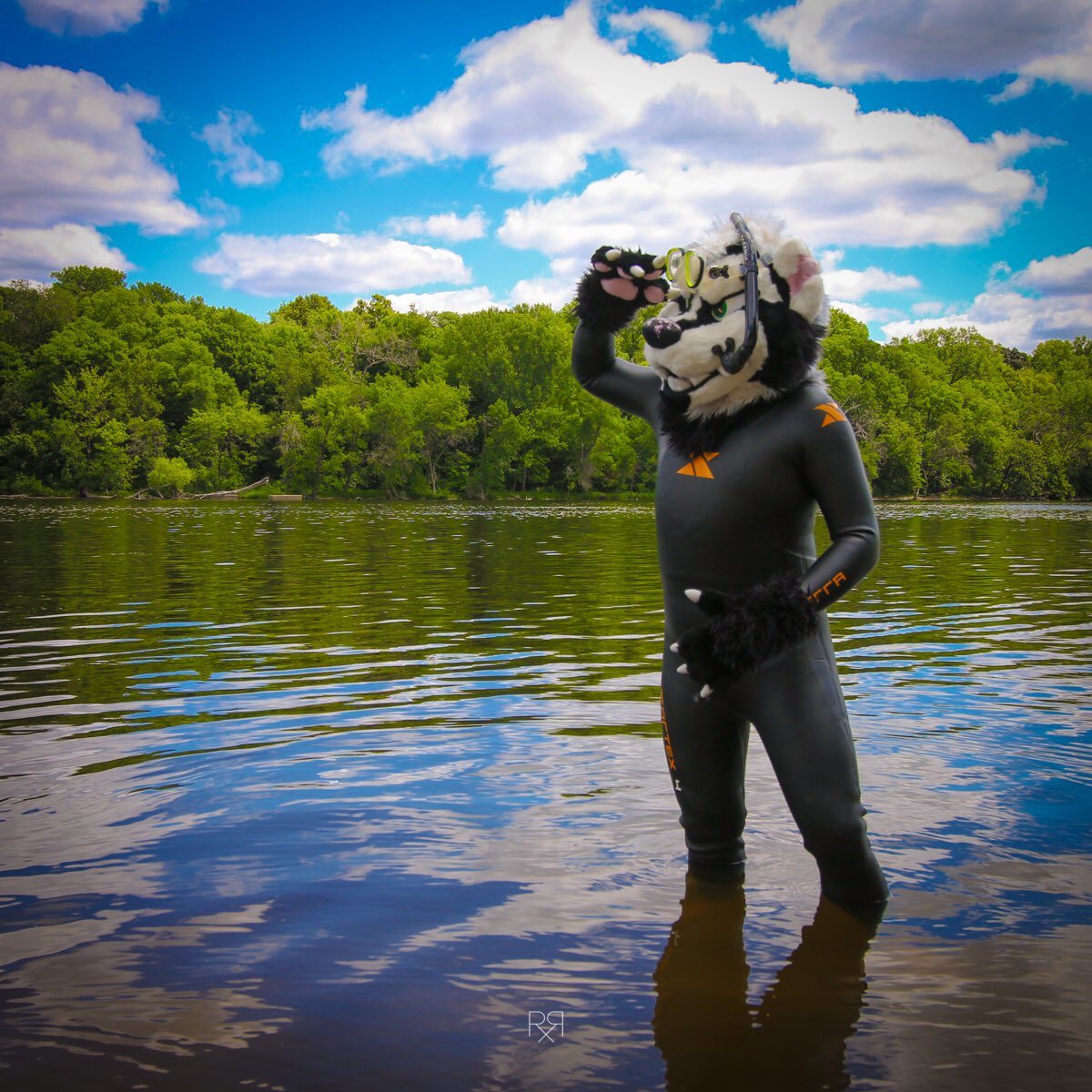 BIRK Agusta BADGER tweet media