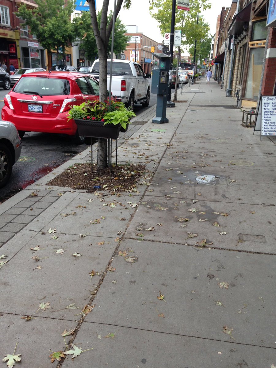 leaf's tweet image. When leaves are dropping in July trees are in crisis. Please take the initiative to water a  tree in need! #3buckets