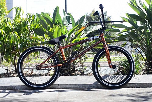 SmartBMX's tweet image. Sick BMX and scenery #BMX #BMXLIFE