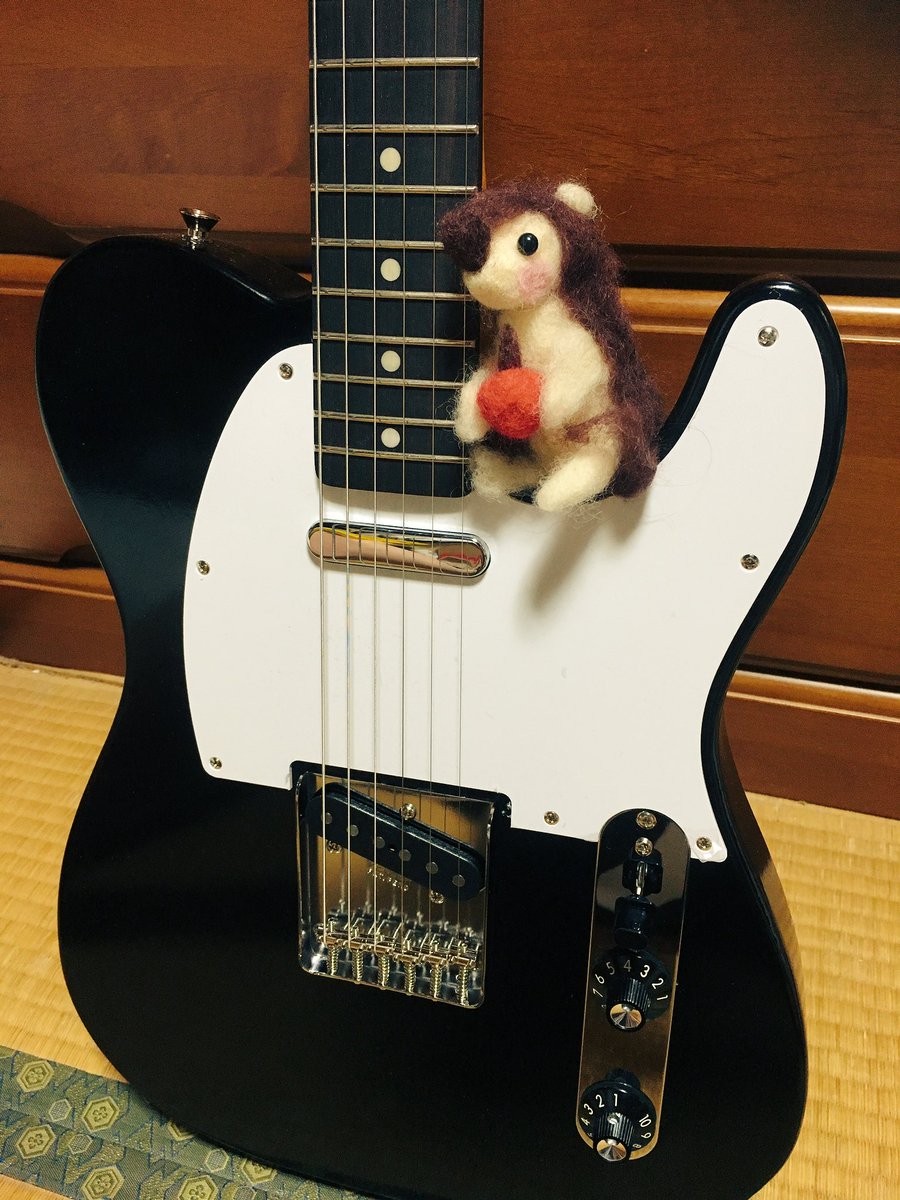 _sa_29's tweet photo. ギター届いた✩*⋆¸¸.•*¨*\(๑•ᴗ•๑)/*¨*•.¸¸⋆*✩ https://t.co/BKdq1Thef7