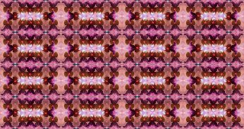 wakeyourart's tweet photo. Earl Reed - Flowers here at House 012 https://t.co/r6OSFIZYmT