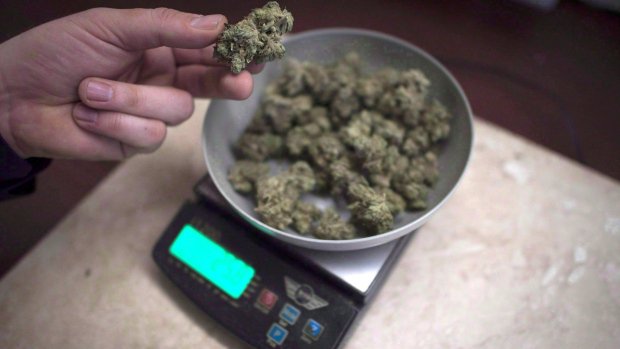 ctvedmonton's tweet photo. Nearly 70 per cent of Canadians are in favour of marijuana legalization. https://t.co/W7b59fY7pg https://t.co/E3HylcaNpd