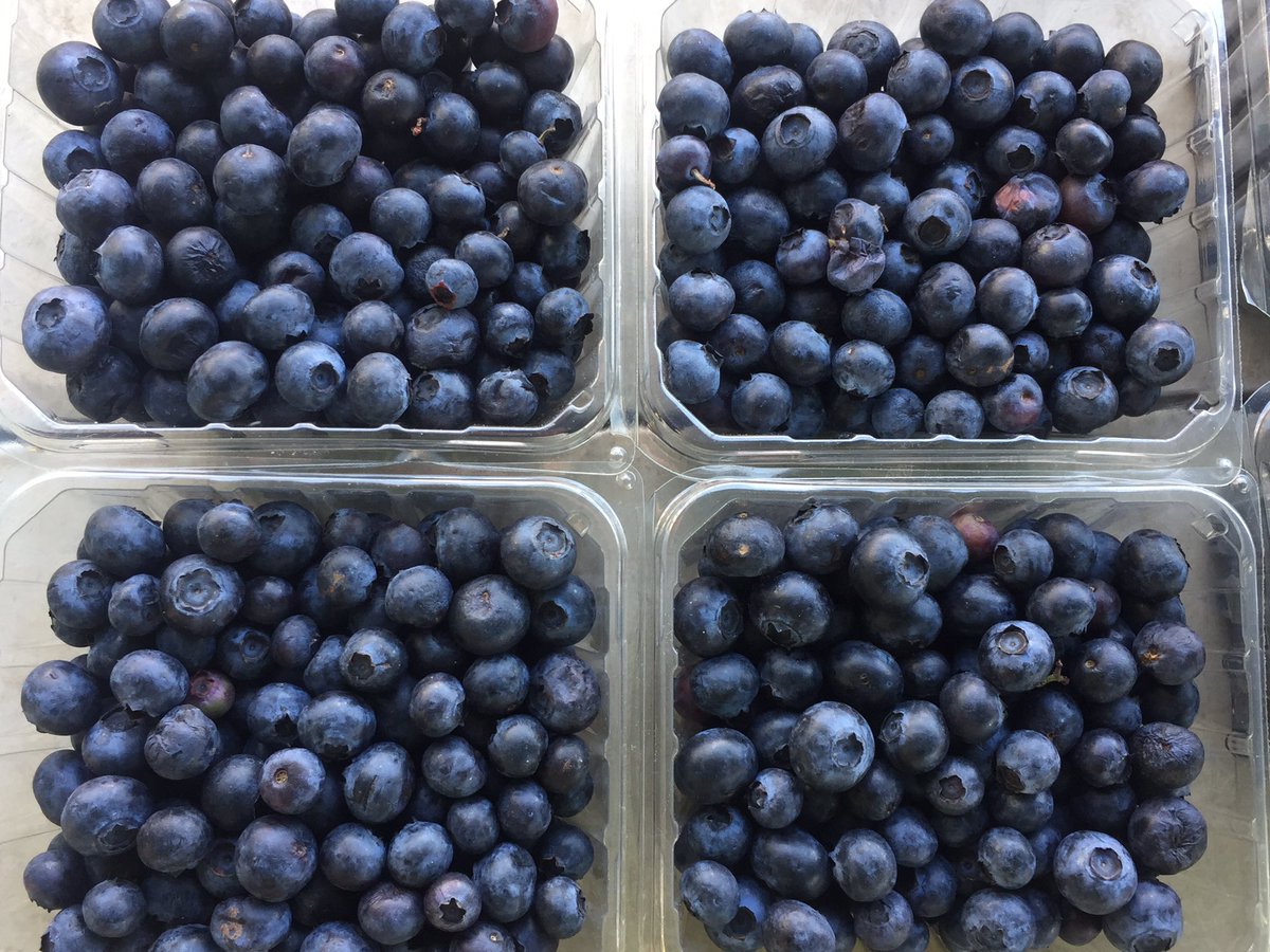 PeoplesGarden's tweet image. Peak blueberry season is now. Right on time for a Red, White and Blueberry Weekend. #July4th #VegU