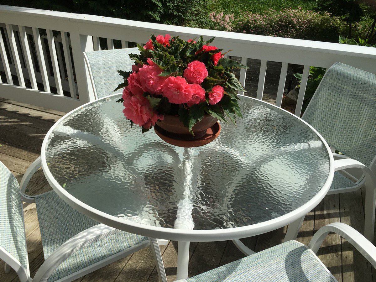 PalmerHouseInn's tweet image. #Begonias on the porch of the #cottage are magnificent ow.ly/Csb8301Er09 #CapeCodgarden #bedandbreakfast