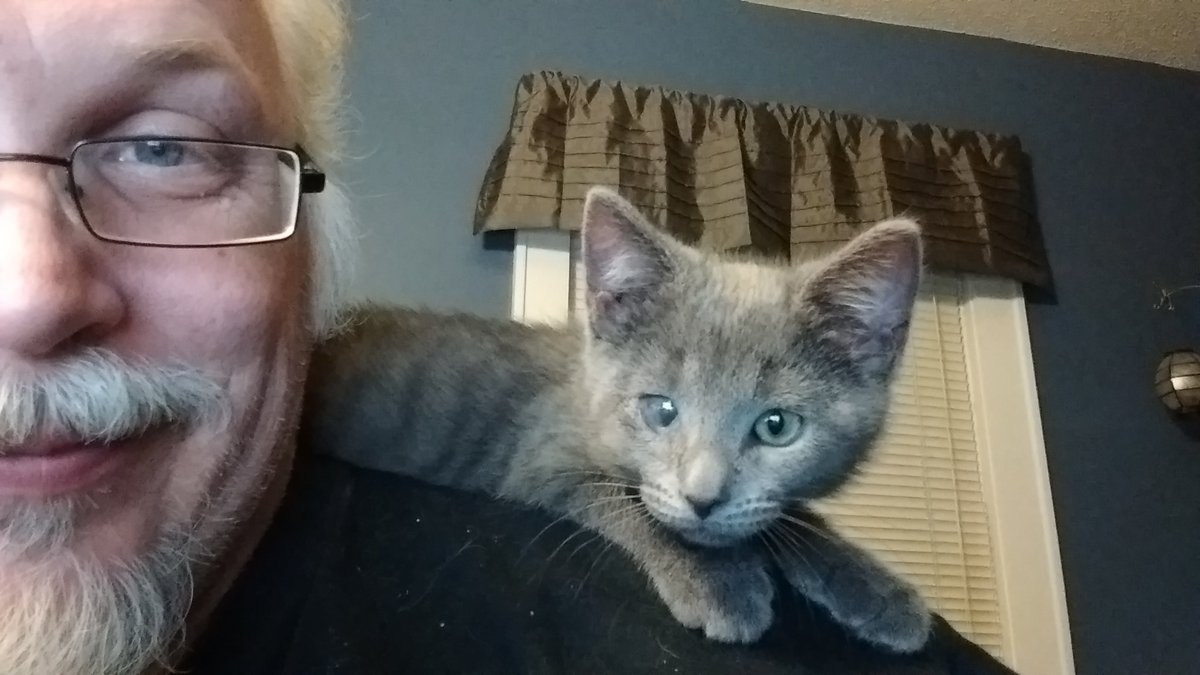 VridenMonkey's tweet image. Odin #TechKitty