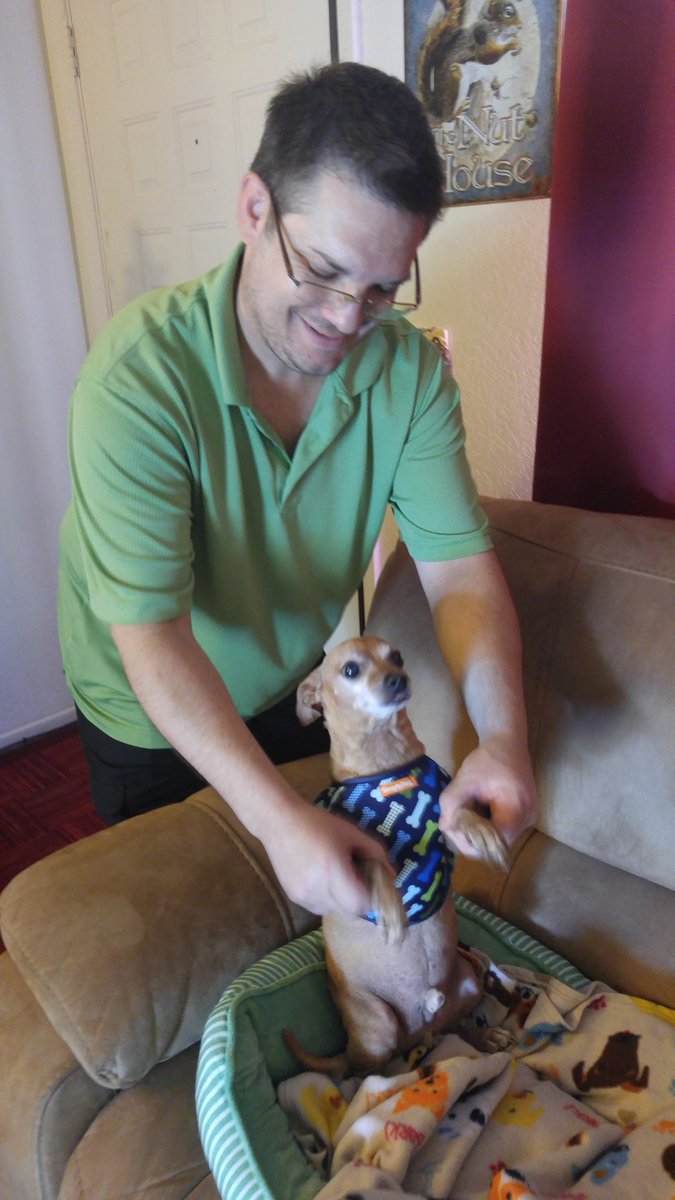 GammaJean13's tweet photo. Frankie sporting his new harness.💗🐶💗 https://t.co/NRWCPhIsjS