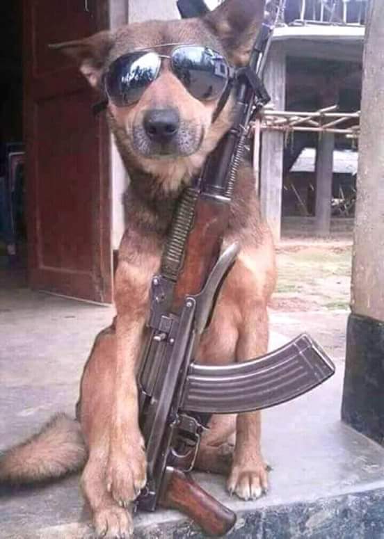 Oka4_MUFC's tweet photo. #GALLANT MILLITANT. #SECURITY ASSURED #HAPINEWMONTH https://t.co/mf2ppCFf4d