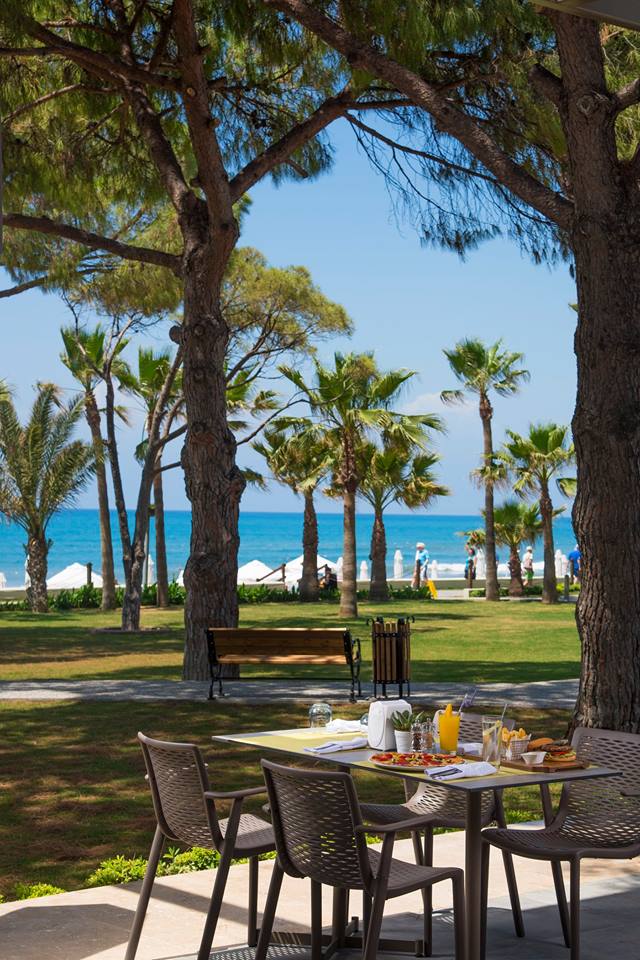 BarutHotelsTR's tweet image. Palm trees, Mediterranean breeze and salty air...Feel the #summer
#BarutAcanthusCennet
#travel #holiday #Summer2016