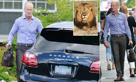 boxstergts's tweet photo. dentist who slaughtered #cecilthelion wave of revulsion around the world buys supercar https://t.co/blZX7YKcAj https://t.co/0sGx0Zgr8D