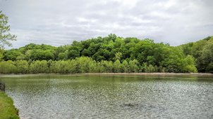 SciStarter's tweet photo. Happy #Lake Appreciation Month! Celebrate w/ #SecchiDipIn2016 #citsci https://t.co/6Di1Wr83AW #NALMS #citizenscience https://t.co/NC9Hgfltxl