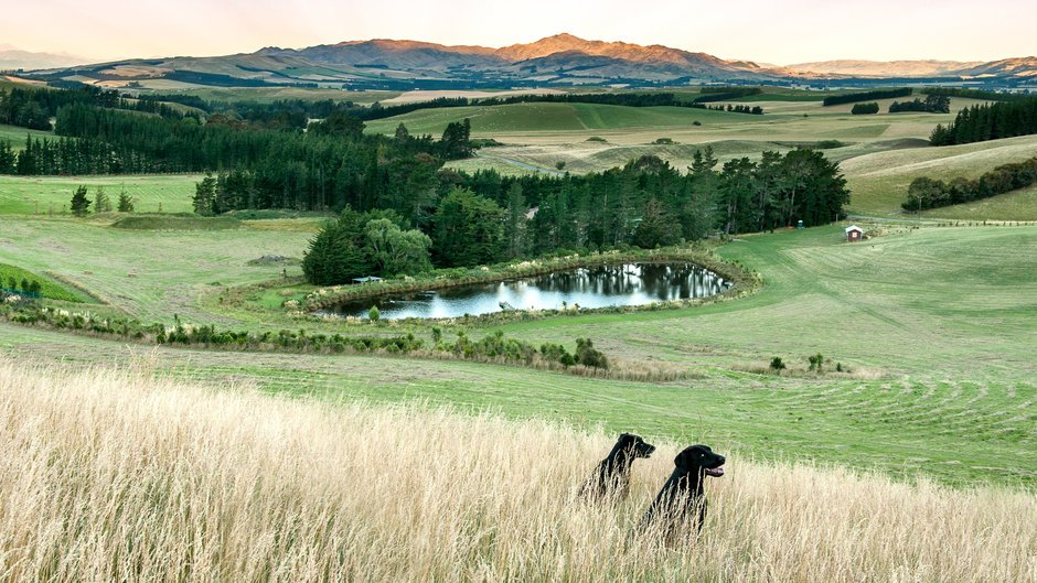 foodandwine's tweet photo. Meet three American winemakers discovering wine Down Under. https://t.co/unGrvrkB1N https://t.co/d15tWzuTcZ