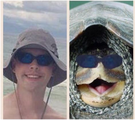 Kappa Alpha Order tweet media