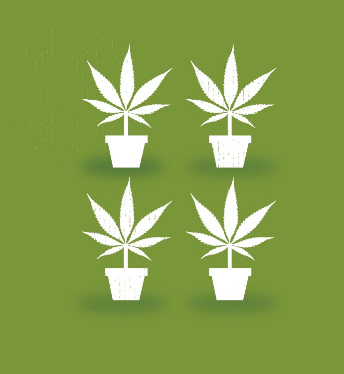 whatslegalOR's tweet photo. Happy #FourthOfJulyWeekend! Have fun, be safe, &amp; be responsible! https://t.co/8eEwD5Pb9G  #educateb4urecreate https://t.co/wVyZEtgRNb