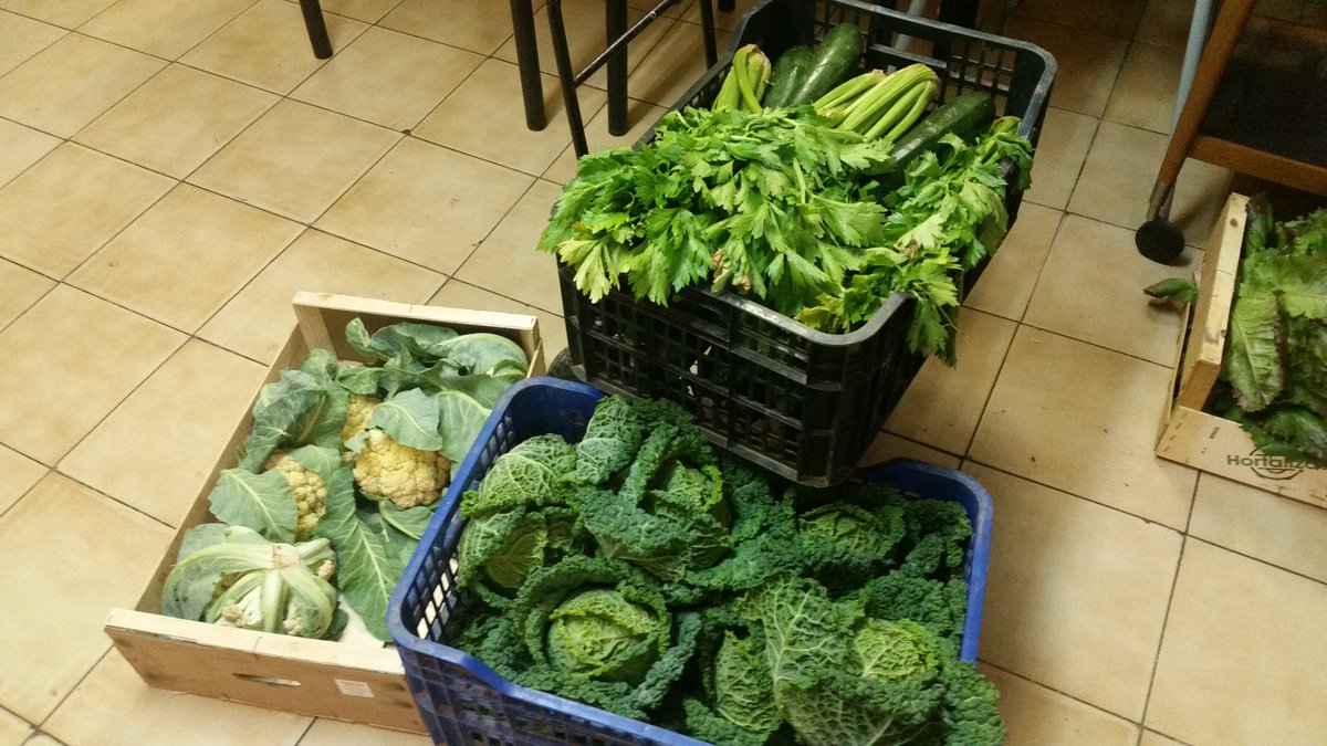 Amb les donacions dels productors farem un autèntic Festival Gastro. solidari x Ecuador! 3/07/16 Roca Umbert. 12-22h