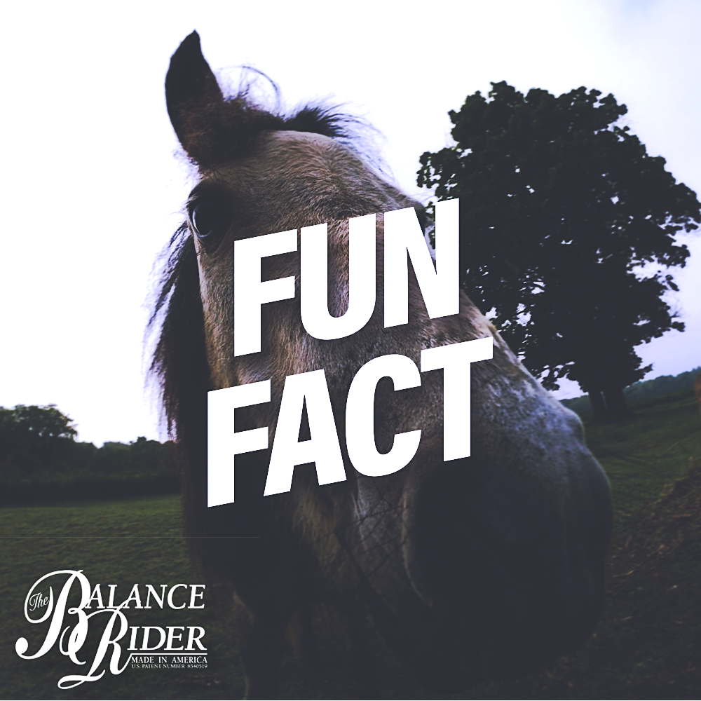thebalancerider's tweet photo. #FunFact: Balance is the body's dynamic effort to conquer gravity. Have you conquered it yet?#BalanceRider https://t.co/URQHQ6jAHC