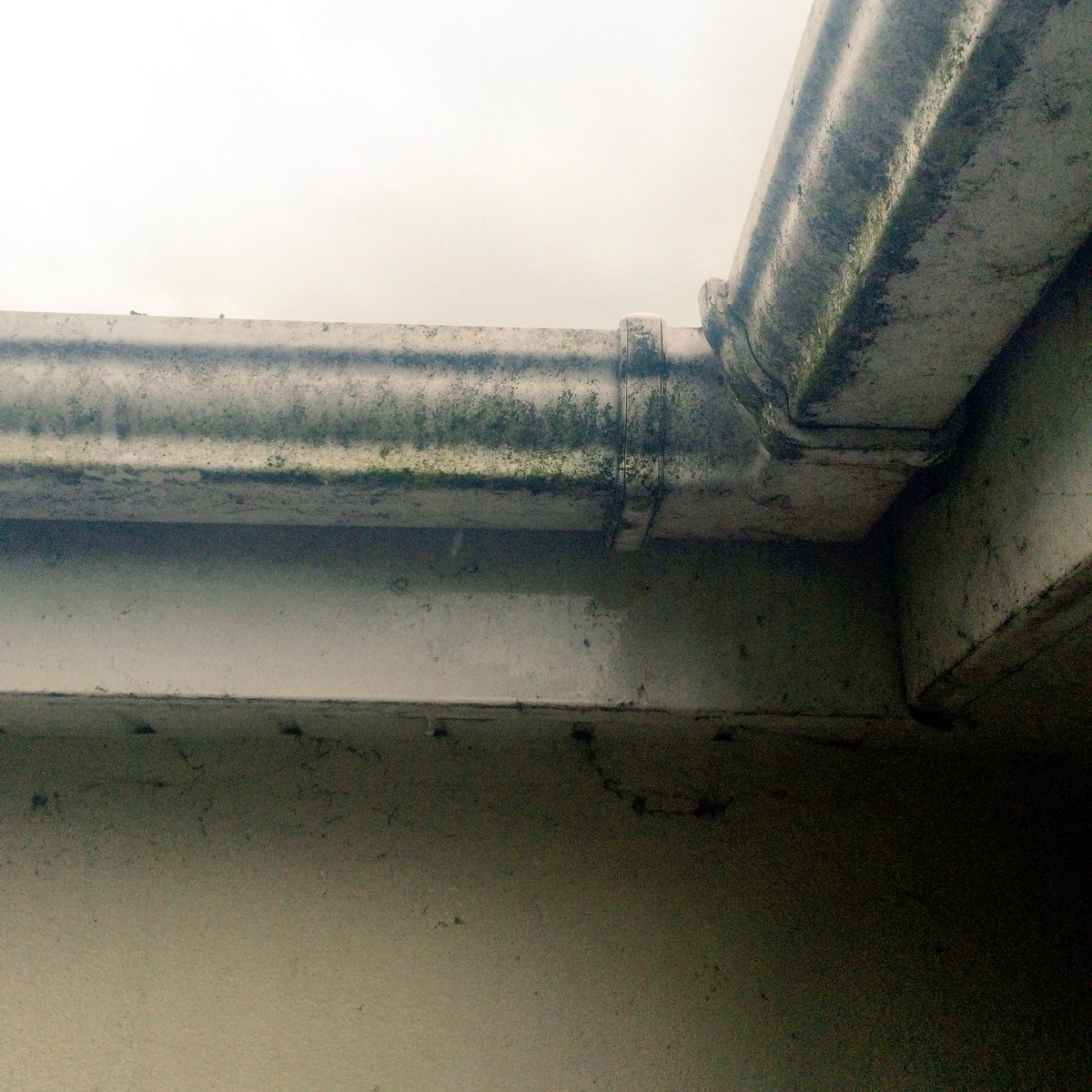 jmsbelfast's tweet photo. Just finished for the weekend😄 For all your gutter cleaning &amp; repairs https://t.co/0ekKyg5rUC #Belfasthour https://t.co/C1JHnYTGNy