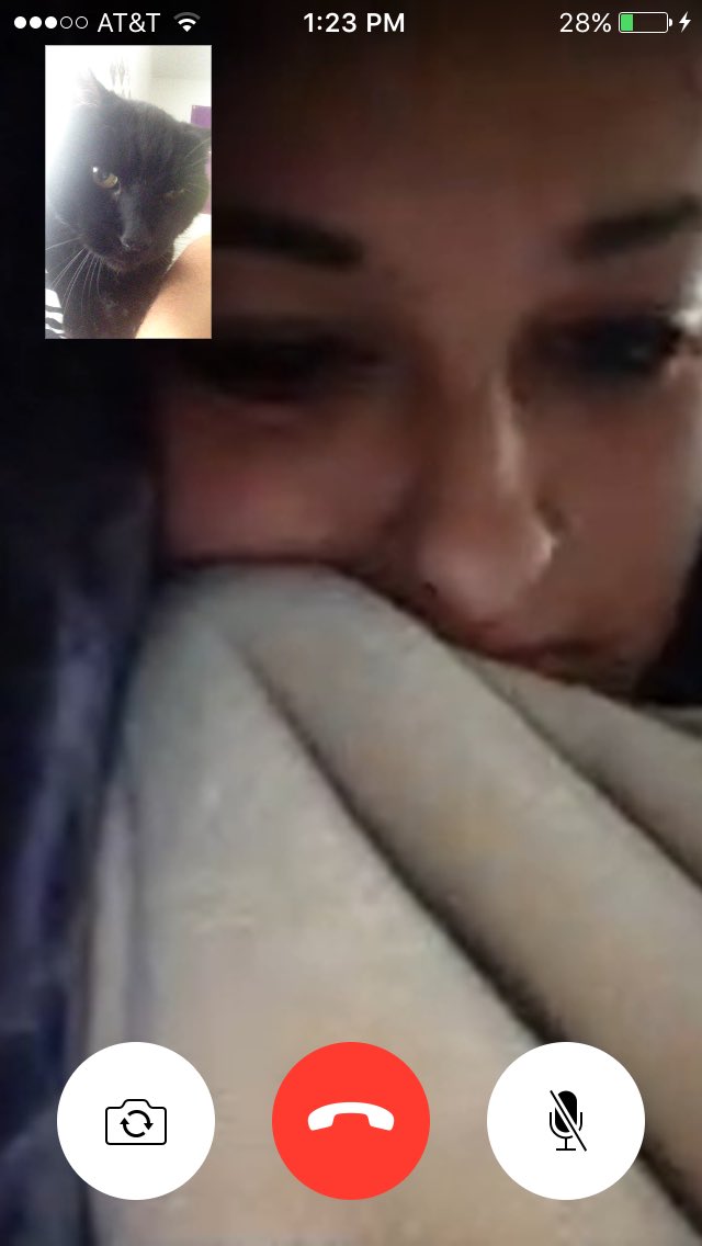 When your cat wants to FaceTime your girlfriend