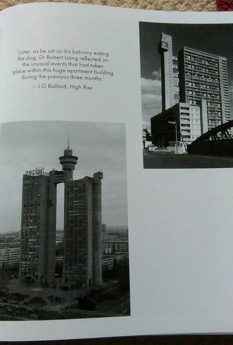 engelsthecat's tweet photo. I wish it was my birthday every day if this is the calibre of present! @BrutalHouse @PhaidonEUROPE https://t.co/3NETCUJTCR