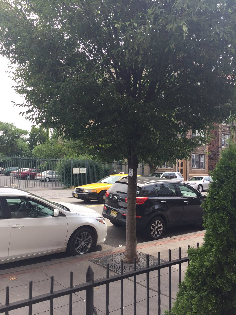 JudithTheTree's tweet image. My sign is up thanks to @AnnePercoco so now is your chance to come visit me!