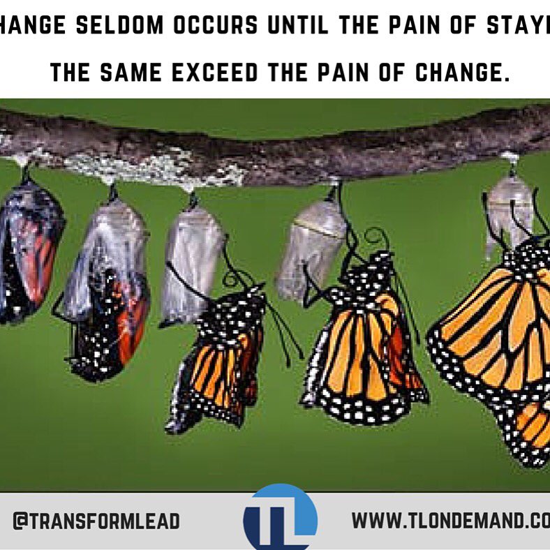 transformlead's tweet image. 